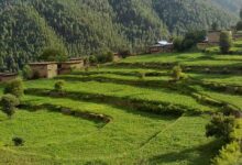 Tirah Valley