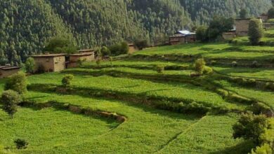 Tirah Valley