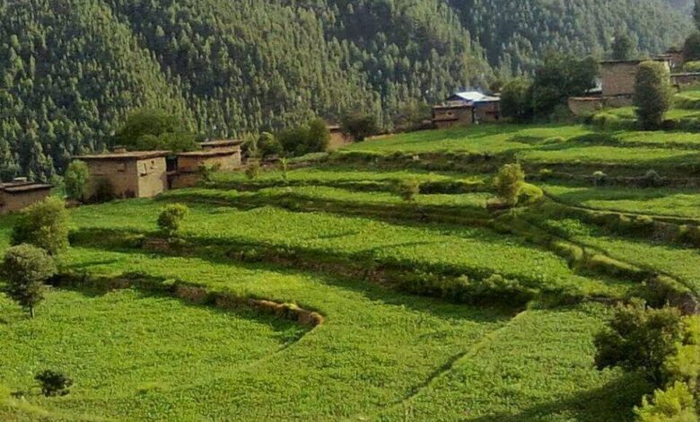 Tirah Valley